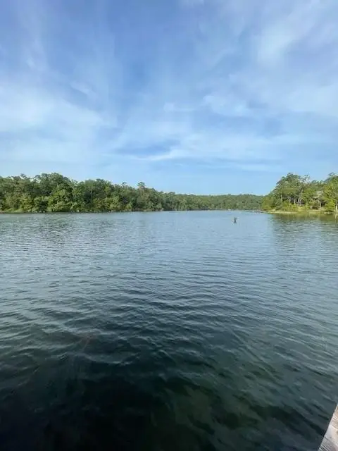 0 Magnolia Ridge Lot 7 Road, Boyce, LA 71409 - Image #2