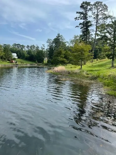 0 Magnolia Ridge Lot 7 Road, Boyce, LA 71409 - Image #3