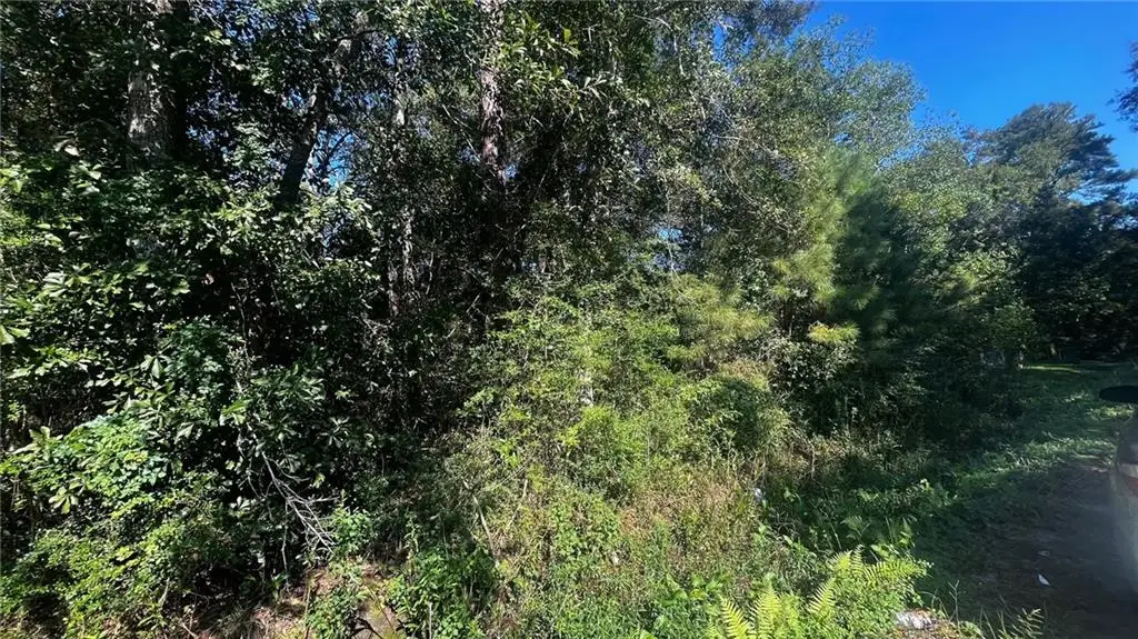 N 29 Street, Lacombe, LA 70445 - #1