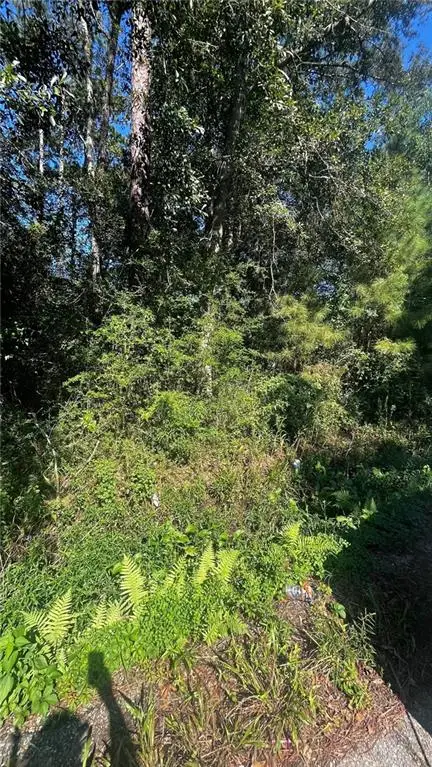 N 29 Street, Lacombe, LA 70445 - #2