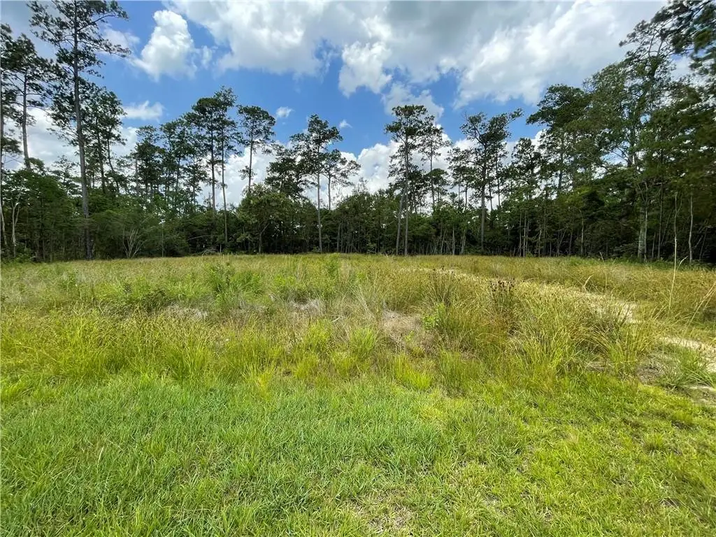 0 Brandon Drive, Slidell, LA 70461 - #1