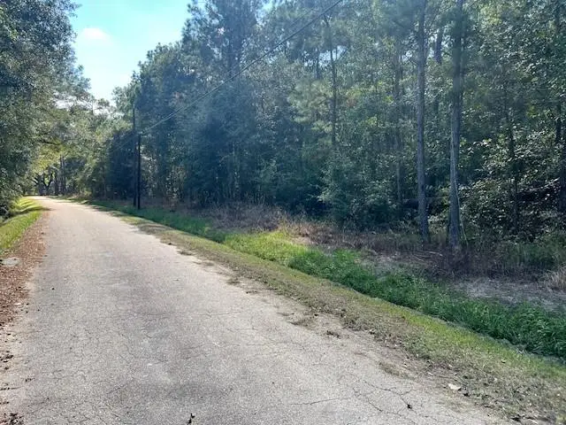 Mcmanus Road, Slidell, LA 70461 - Image #3