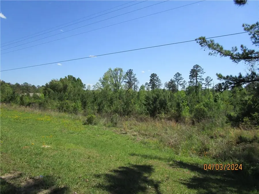 7100 Highway 8 Highway, Bentley, LA 71407 - #3