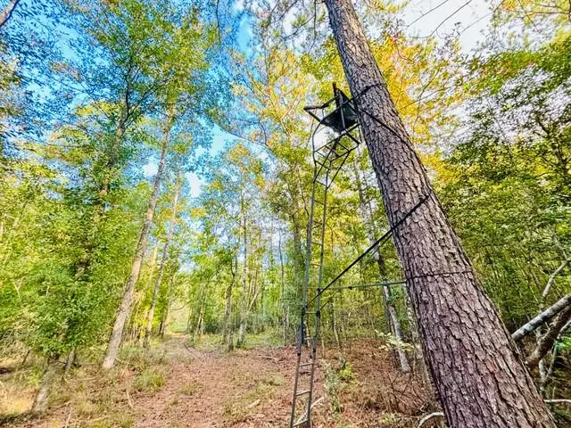 15 Acres E Moran Road, Pearl River, LA 70452 - Image #3