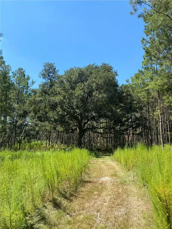 29424 George White Road, Holden, LA 70744 - #1