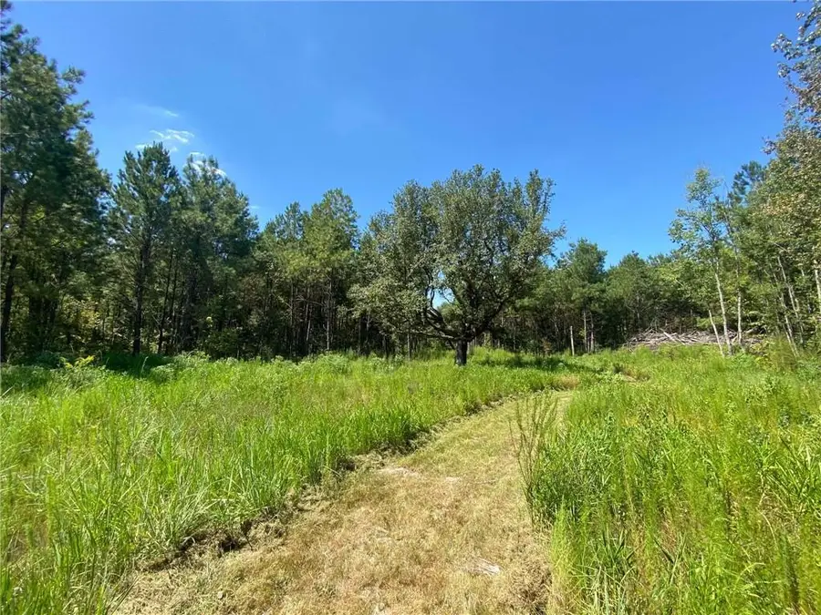29424 George White Road, Holden, LA 70744 - #3