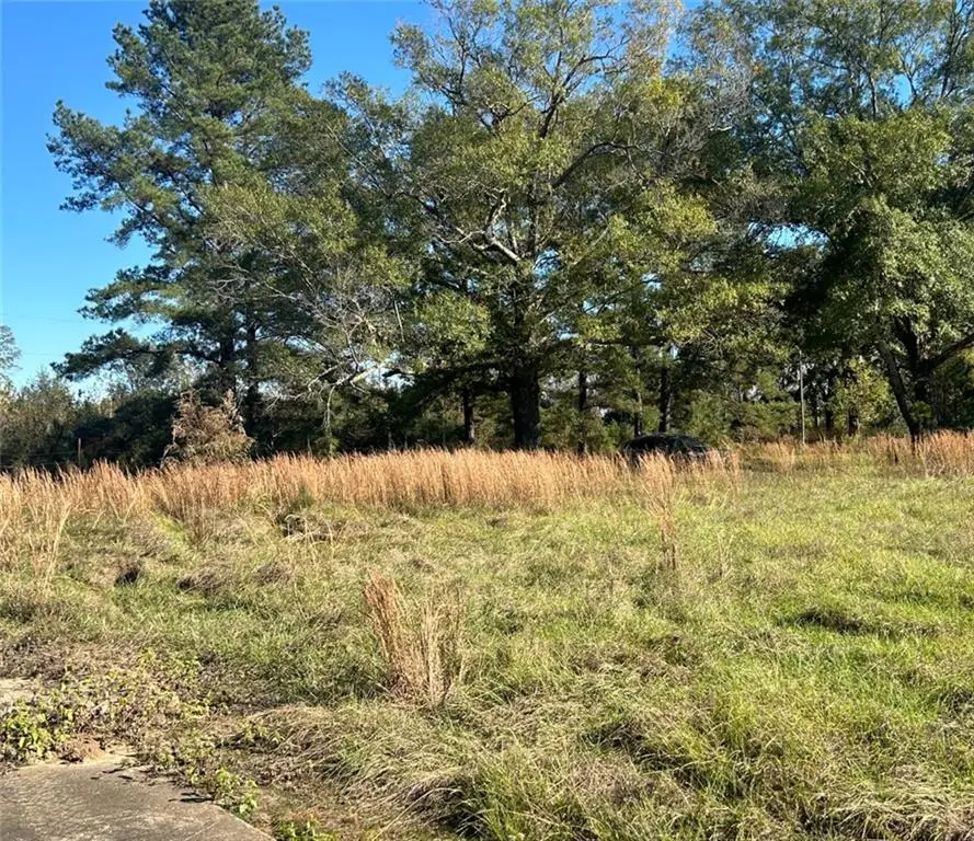 00000 N Goodwill Road, Goldonna, LA 71031 - #3