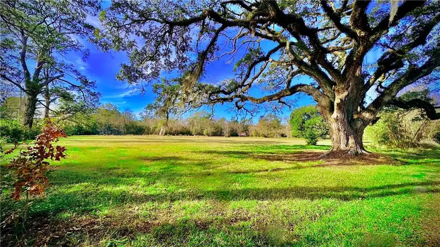 204 Magnolia Street, Mandeville, LA 70448 - Image #2