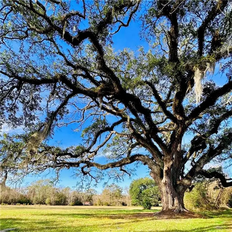 204 Magnolia Street, Mandeville, LA 70448 - Image #3