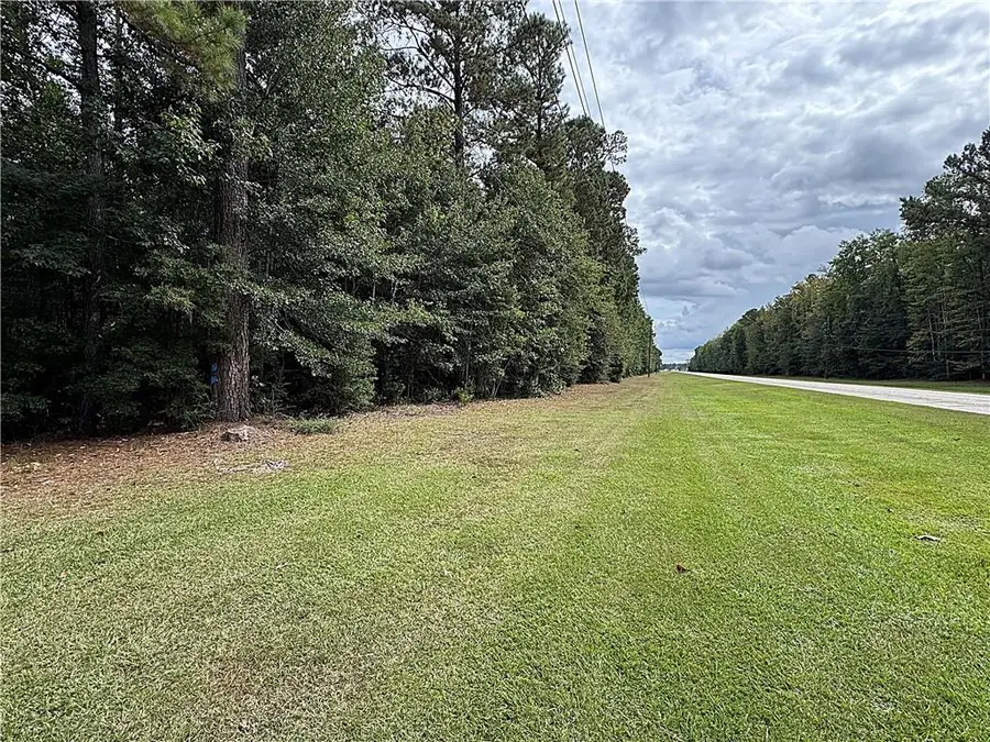 202 Acres Prison Road, Angie, LA 70426 - #2