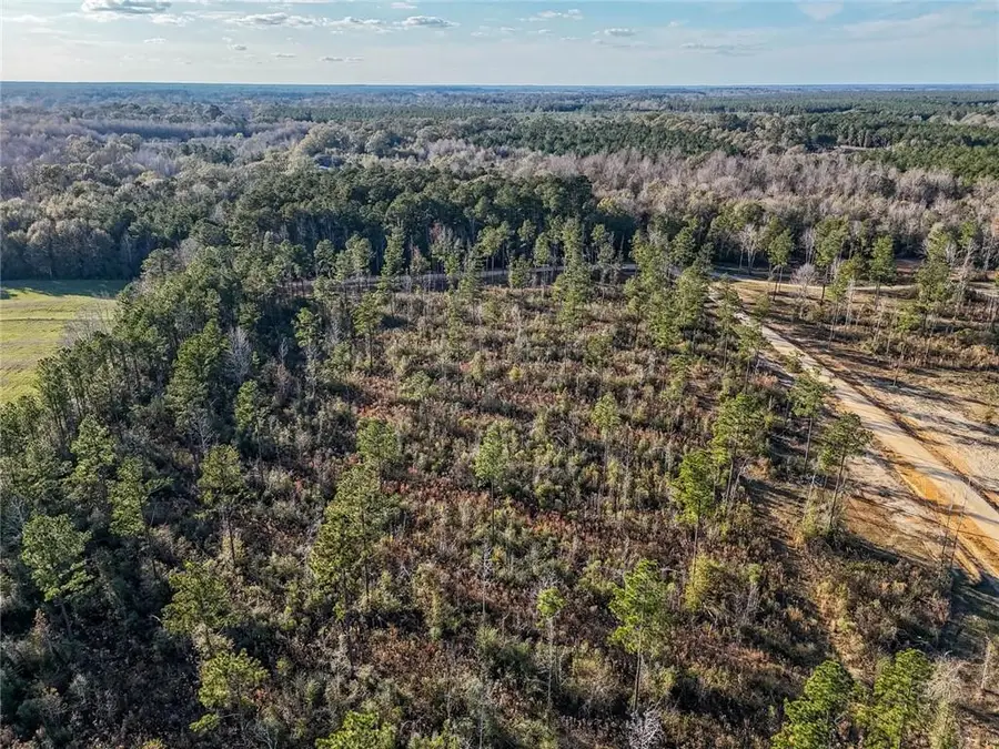 Lot 4 Highway 10 Highway, Franklinton, LA 70438 - Image #2
