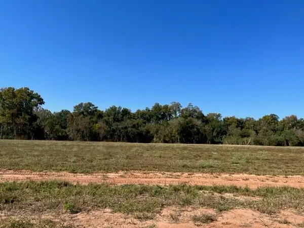 3012 Bayou Fields Drive, Alexandria, LA 71303