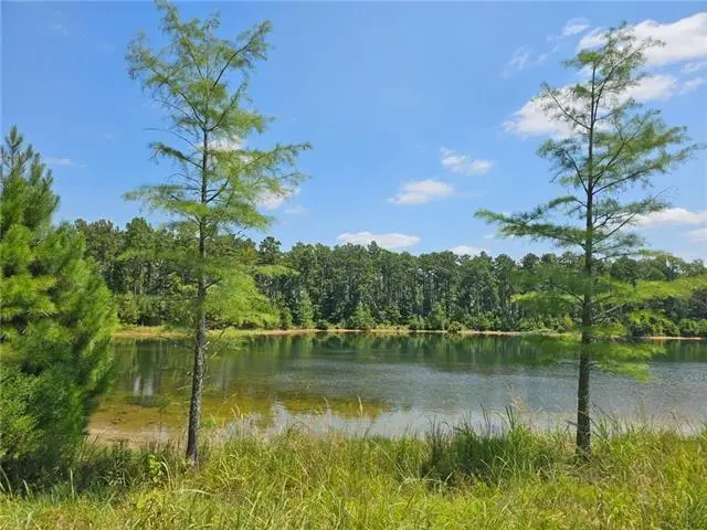 0 Alexandria Highway, Leesville, LA 71446 - Image #1