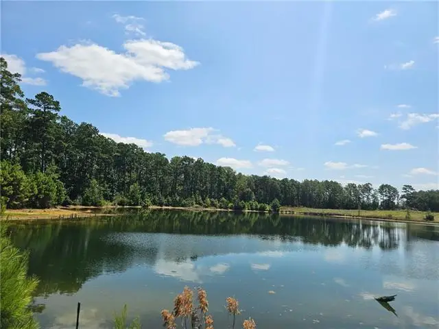 0 Alexandria Highway, Leesville, LA 71446 - Image #3