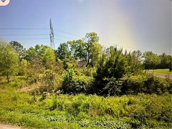 33870 Perkins Crossing Road, Walker, LA 70785