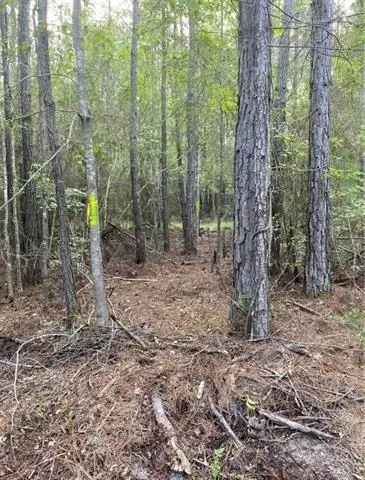 0 Henderson Road, Covington, LA 70433 - Image #3