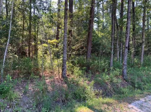 Tee Street, Abita Springs, LA 70420