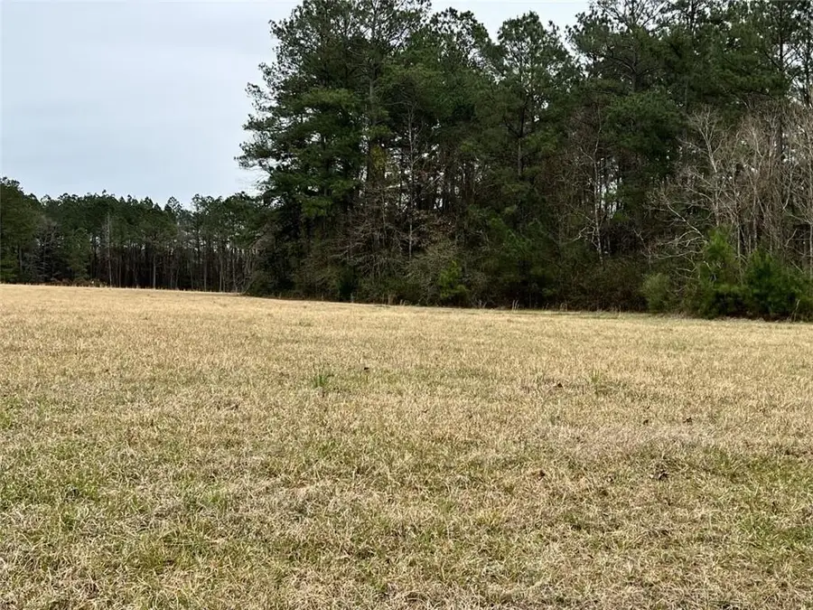 738 Paradise Road, Ball, LA 71405 - #2