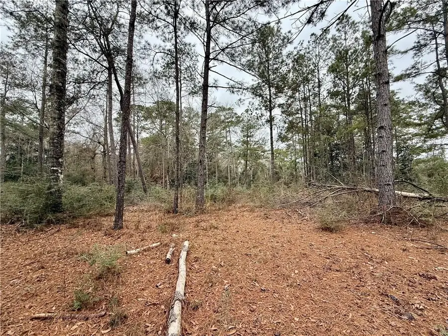 Lot 3 & 7 Robin Road, Franklinton, LA 70438 - Image #2