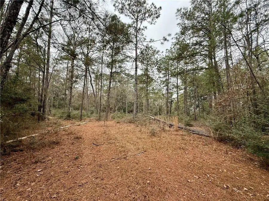 Lot 3 & 7 Robin Road, Franklinton, LA 70438 - Image #3
