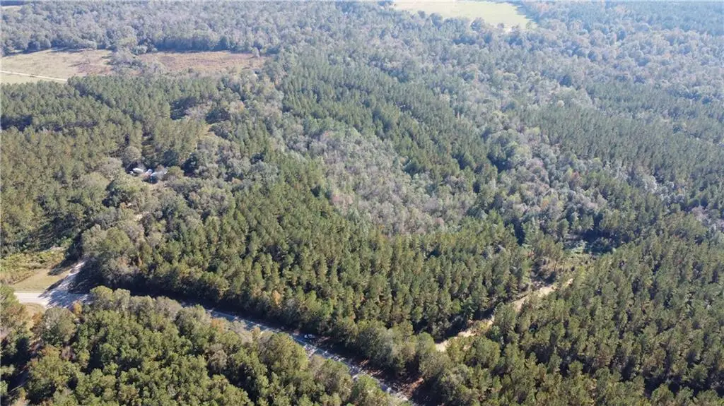 186 Acres Hwy 436 Highway, Angie, LA 70426 - Image #1