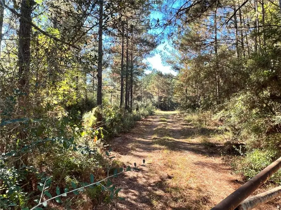 186 Acres Hwy 436 Highway, Angie, LA 70426 - Image #3