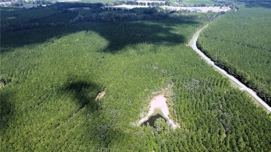 177 Acres Hwy 450 Highway, Franklinton, LA 70438 - Image #2