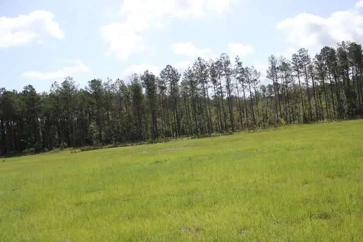 29644 Billy Joe Road, Independence, LA 70443 - #1