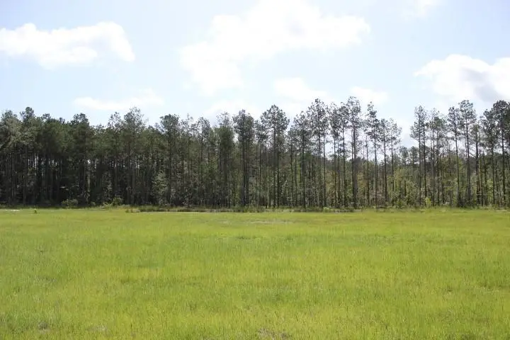 29644 Billy Joe Road, Independence, LA 70443 - #2