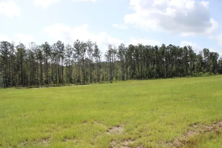 29644 Billy Joe Road, Independence, LA 70443 - #3