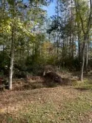 Lot 7 Kate Street, Hammond, LA 70401 - #2