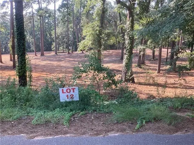Amelia Lot 11 Lane, Boyce, LA 71409 - Image #2