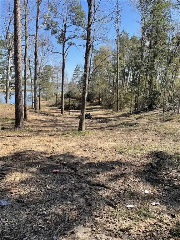 0 Amelia Lot 14 Lane, Boyce, LA 71409 - Image #1