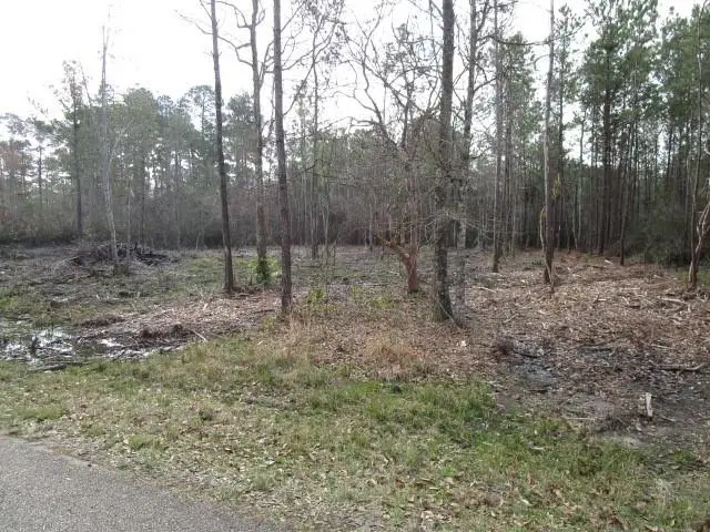 Rhonda Road, Pearl River, LA 70452 - Image #1