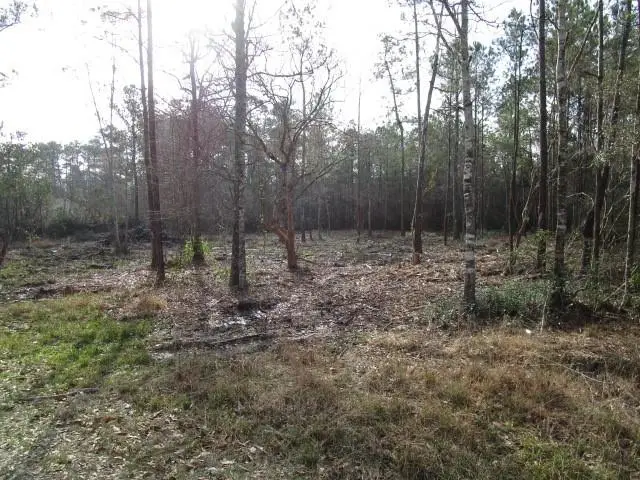 Rhonda Road, Pearl River, LA 70452 - Image #2