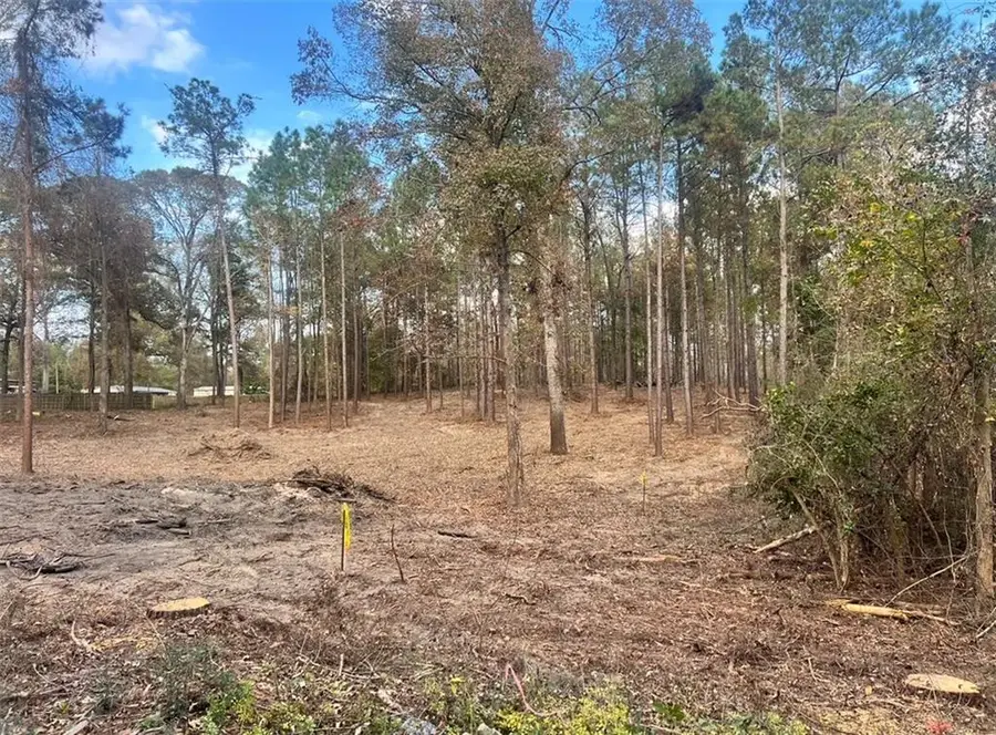 0 Hoyt Road, Boyce, LA 71409 - Image #2