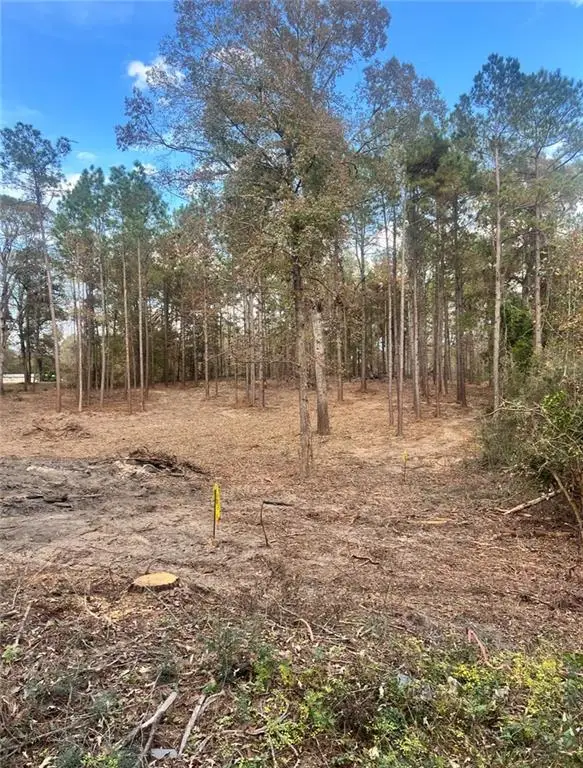 0 Hoyt Road, Boyce, LA 71409 - Image #3