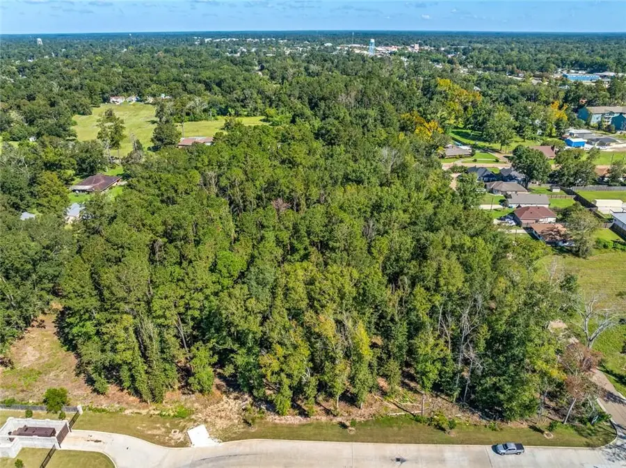 0 Bauerle Road, Hammond, LA 70403 - Image #2