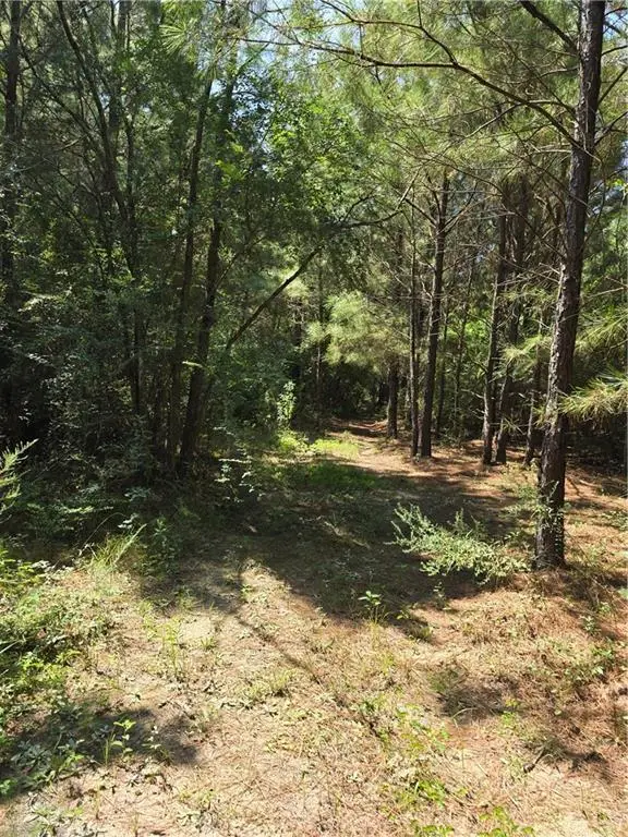 Weinberger Road, Ponchatoula, LA 70454