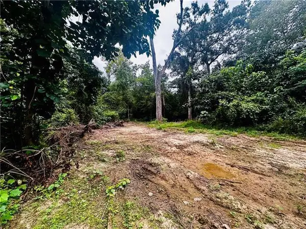 Parcel #1 16 Highway, Franklinton, LA 70438