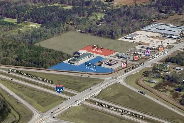 46011 N Puma Drive, Hammond, LA 70401 - #3