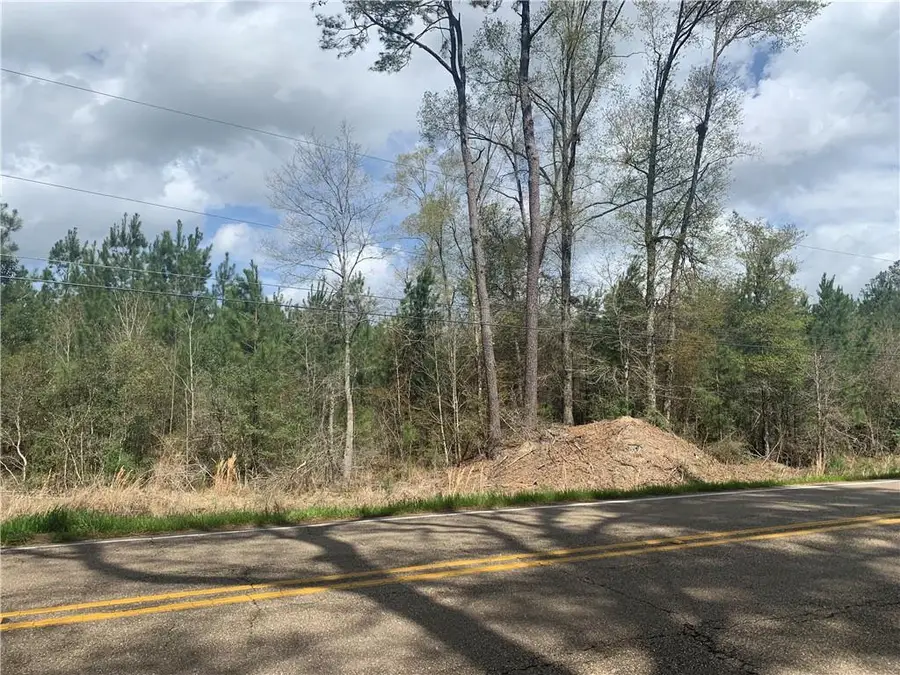 La 40 West Highway, Independence, LA 70443 - #2