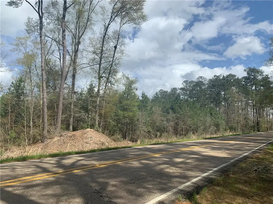 La 40 West Highway, Independence, LA 70443 - #3