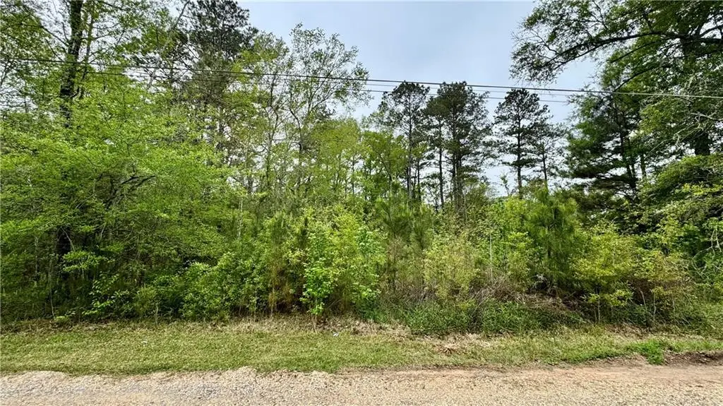 Little Vegas Drive, Hammond, LA 70403 - Image #1