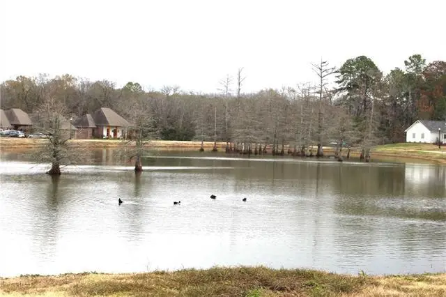 Lady Carolyn Circle, Woodworth, LA 71485 - #2