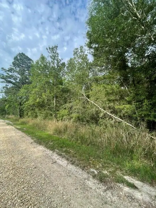 73361 Birdie Street, Abita Springs, LA 70420 - Image #2