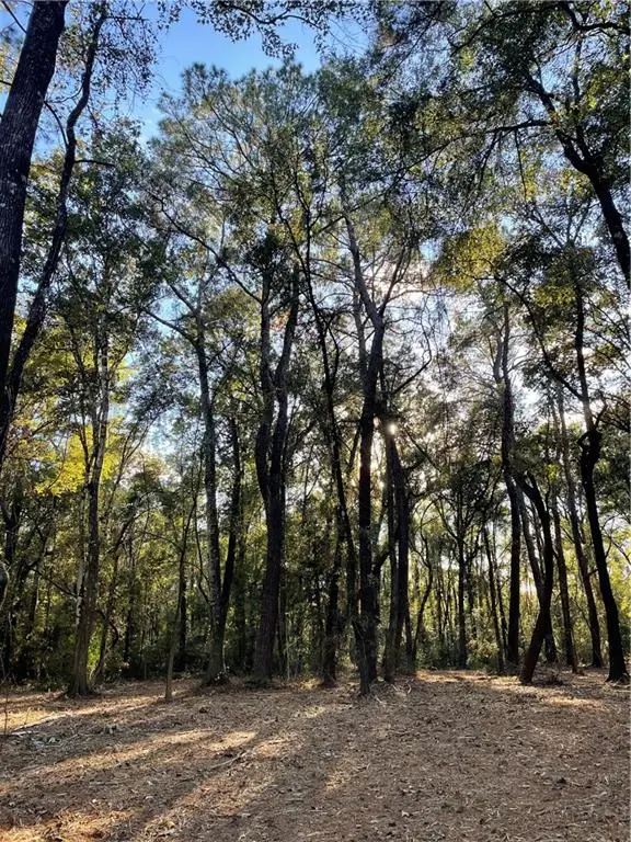 TBD Harvey Lavigne Road, Ponchatoula, LA 70454 - Image #2