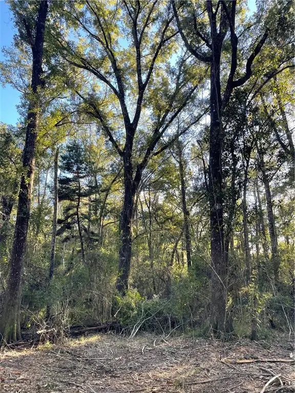 TBD Harvey Lavigne Road, Ponchatoula, LA 70454 - Image #2