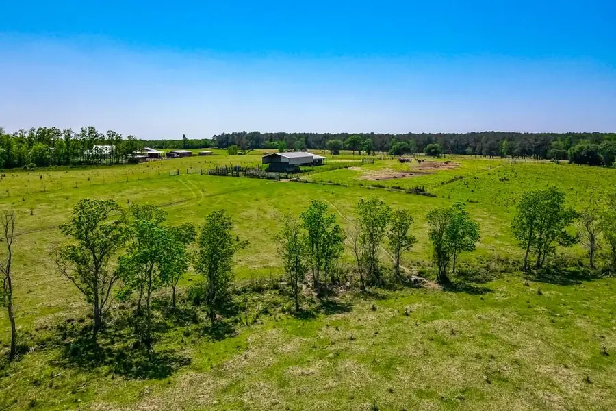 84241 Hwy 437, Covington, LA 70435 - Image #2