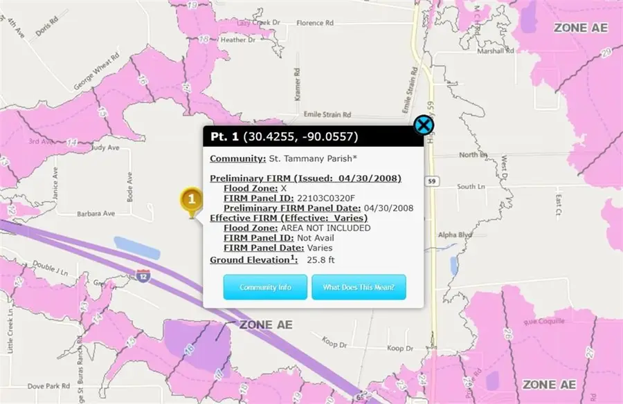22200 Compass Way S, Mandeville, LA 70471 - #3